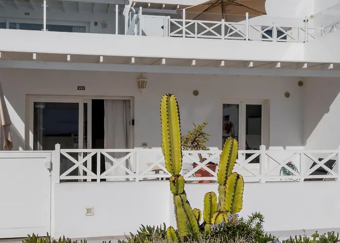 Flower 15 宏达海滩