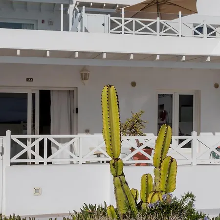 Flower 15 宏达海滩